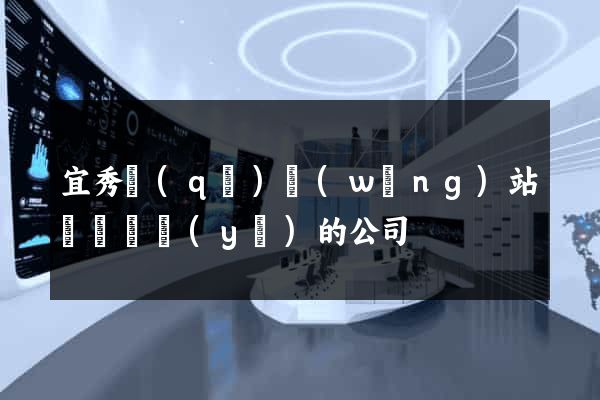 宜秀區(qū)網(wǎng)站設計專業(yè)的公司