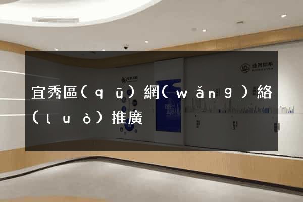 宜秀區(qū)網(wǎng)絡(luò)推廣
