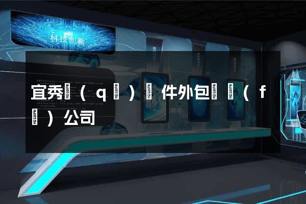 宜秀區(qū)軟件外包開發(fā)公司