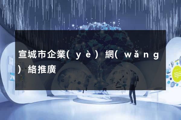 宣城市企業(yè)網(wǎng)絡推廣