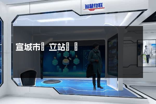 宣城市獨立站運營