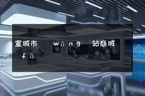 宣城市網(wǎng)站商城開發(fā)