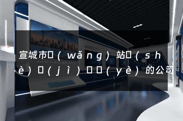 宣城市網(wǎng)站設(shè)計(jì)專業(yè)的公司