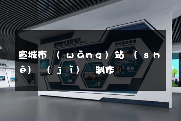 宣城市網(wǎng)站設(shè)計(jì)與制作