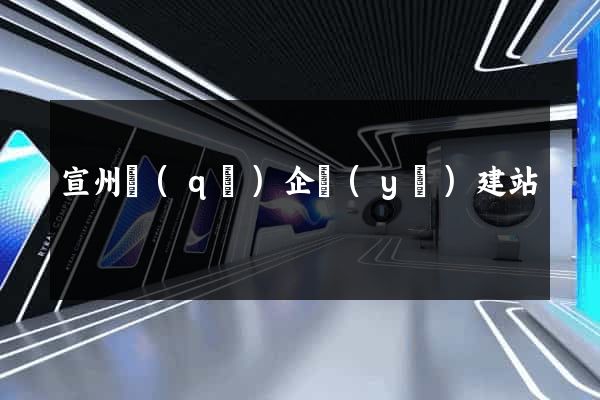 宣州區(qū)企業(yè)建站