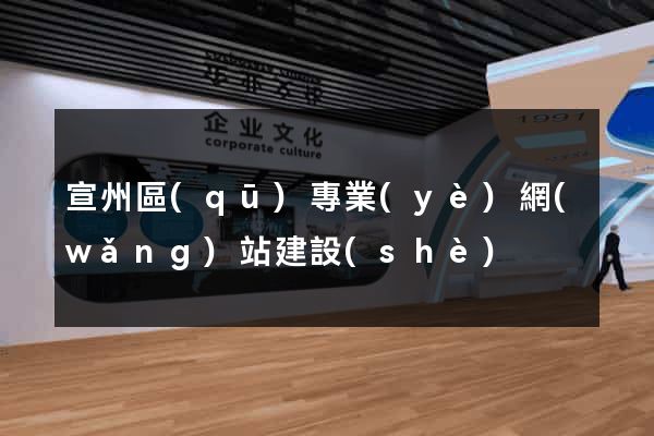 宣州區(qū)專業(yè)網(wǎng)站建設(shè)