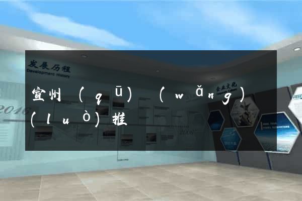宣州區(qū)網(wǎng)絡(luò)推廣