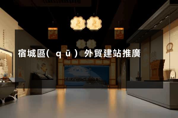 宿城區(qū)外貿建站推廣