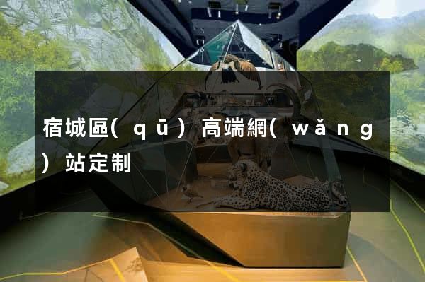宿城區(qū)高端網(wǎng)站定制