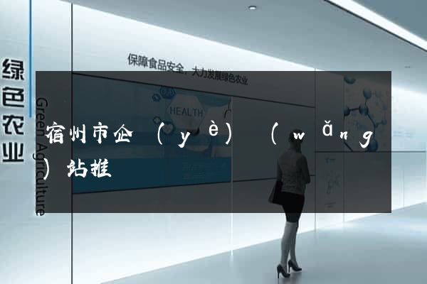 宿州市企業(yè)網(wǎng)站推廣