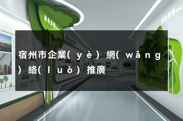 宿州市企業(yè)網(wǎng)絡(luò)推廣
