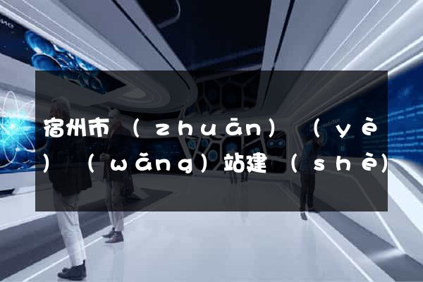 宿州市專(zhuān)業(yè)網(wǎng)站建設(shè)