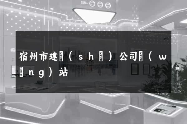 宿州市建設(shè)公司網(wǎng)站