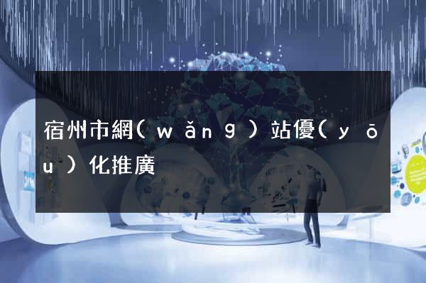 宿州市網(wǎng)站優(yōu)化推廣
