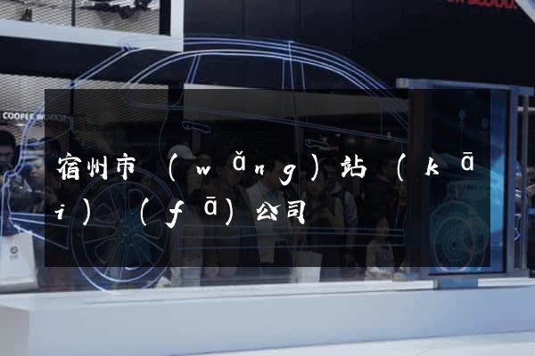 宿州市網(wǎng)站開(kāi)發(fā)公司