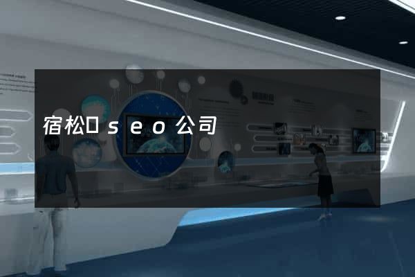 宿松縣seo公司
