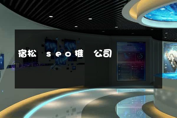 宿松縣seo推廣公司