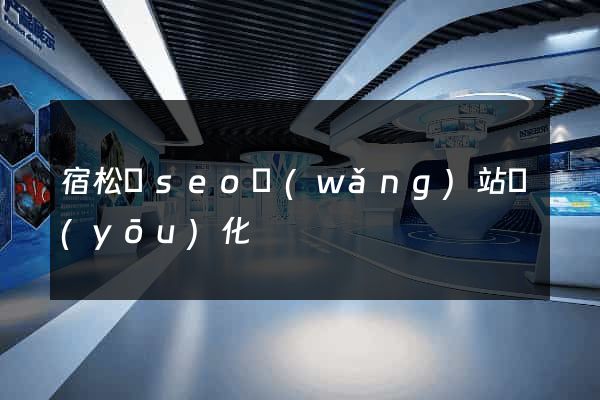 宿松縣seo網(wǎng)站優(yōu)化