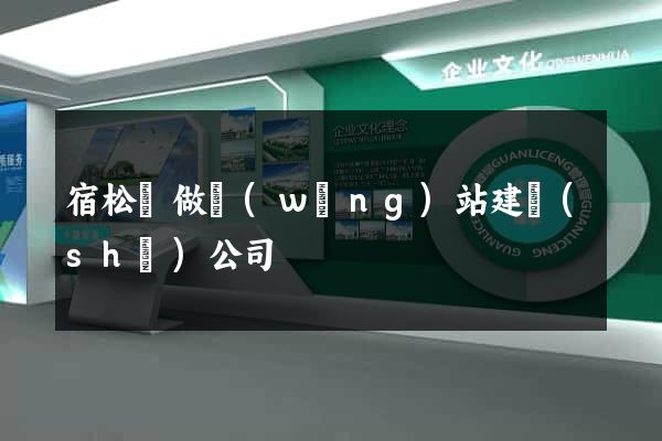 宿松縣做網(wǎng)站建設(shè)公司