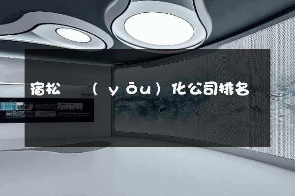 宿松縣優(yōu)化公司排名