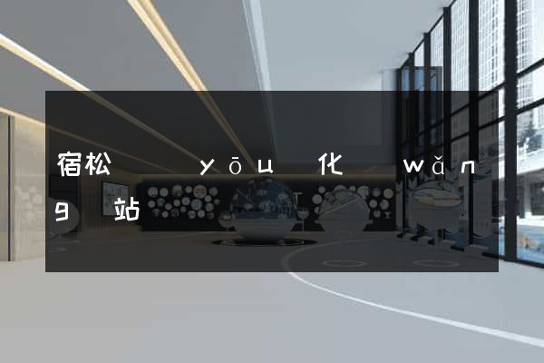 宿松縣優(yōu)化網(wǎng)站