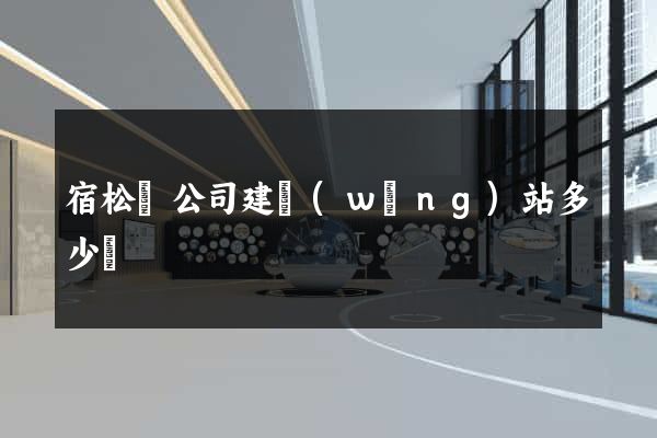 宿松縣公司建網(wǎng)站多少錢