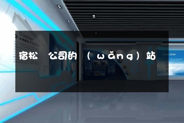 宿松縣公司的網(wǎng)站