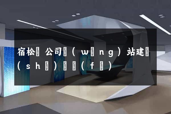 宿松縣公司網(wǎng)站建設(shè)開發(fā)
