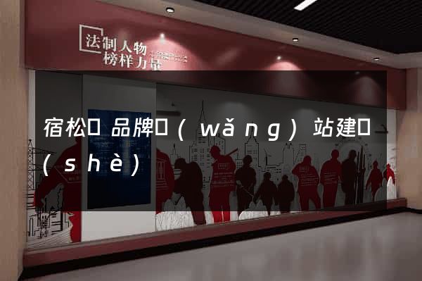 宿松縣品牌網(wǎng)站建設(shè)