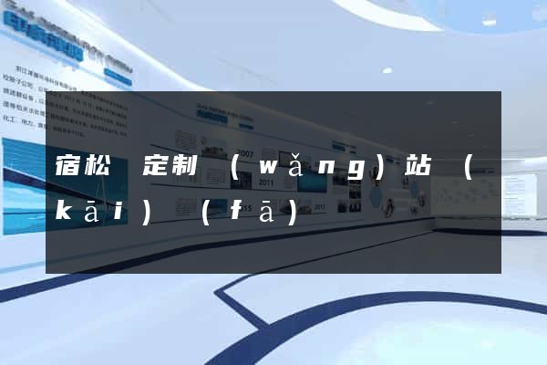 宿松縣定制網(wǎng)站開(kāi)發(fā)