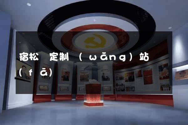 宿松縣定制網(wǎng)站開發(fā)