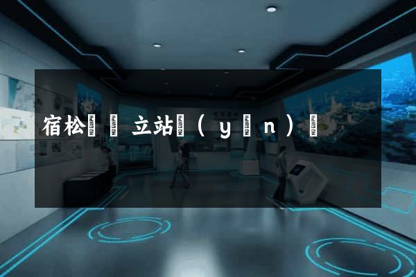 宿松縣獨立站運(yùn)營