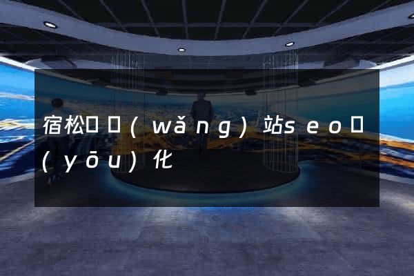 宿松縣網(wǎng)站seo優(yōu)化