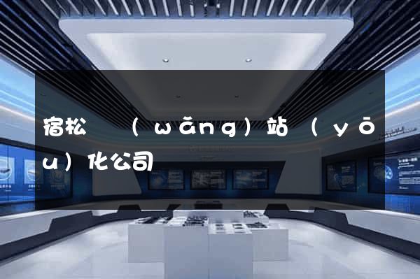 宿松縣網(wǎng)站優(yōu)化公司