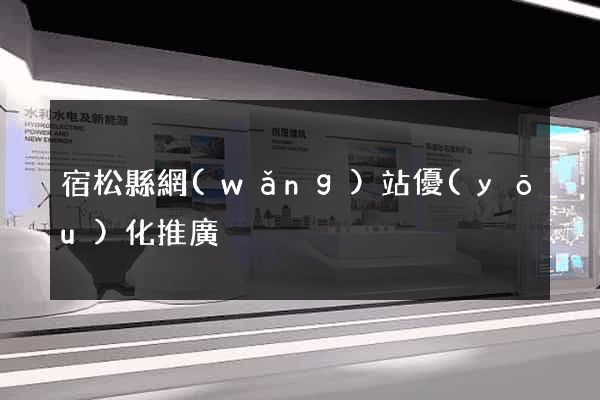 宿松縣網(wǎng)站優(yōu)化推廣