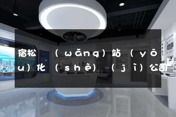 宿松縣網(wǎng)站優(yōu)化設(shè)計(jì)公司