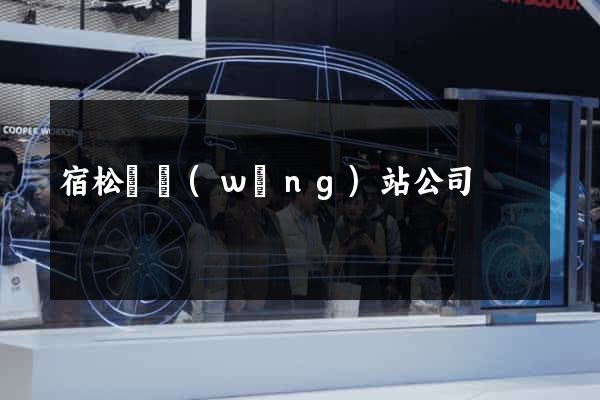 宿松縣網(wǎng)站公司