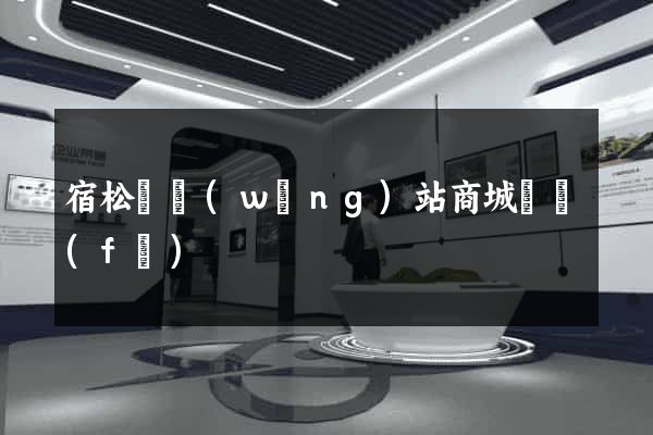 宿松縣網(wǎng)站商城開發(fā)