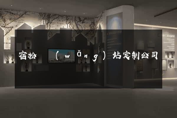 宿松縣網(wǎng)站定制公司