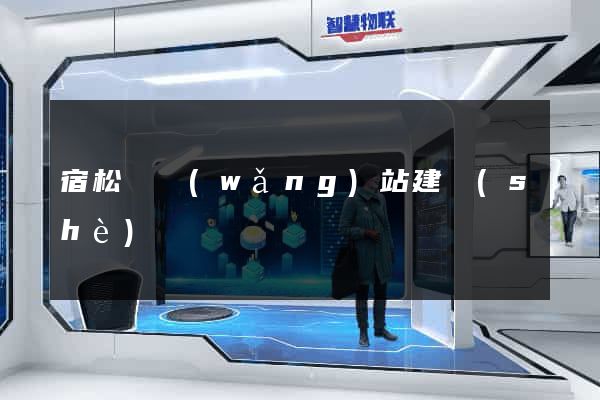 宿松縣網(wǎng)站建設(shè)