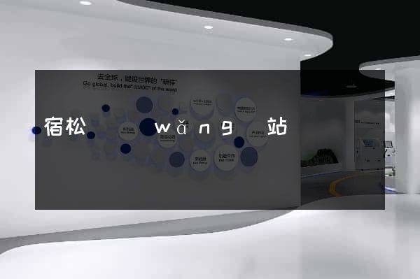 宿松縣網(wǎng)站營銷