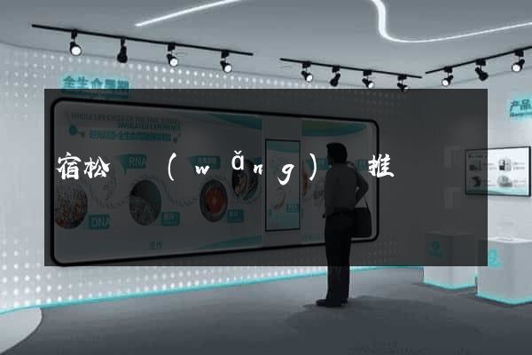 宿松縣網(wǎng)絡推廣