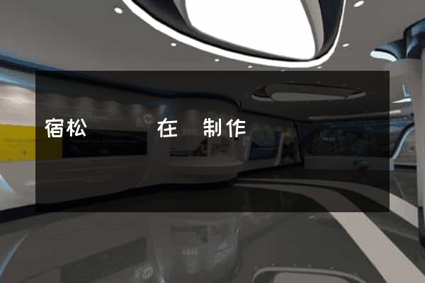 宿松縣網頁在線制作
