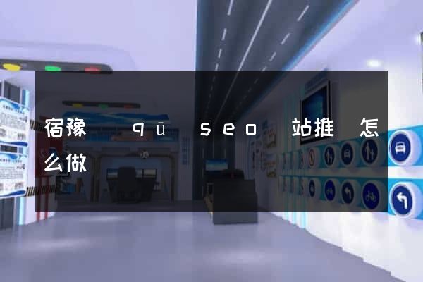 宿豫區(qū)seo網站推廣怎么做