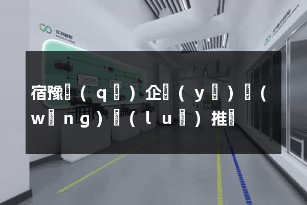 宿豫區(qū)企業(yè)網(wǎng)絡(luò)推廣