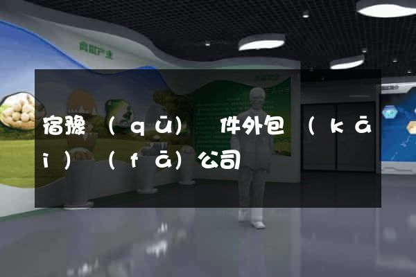 宿豫區(qū)軟件外包開(kāi)發(fā)公司
