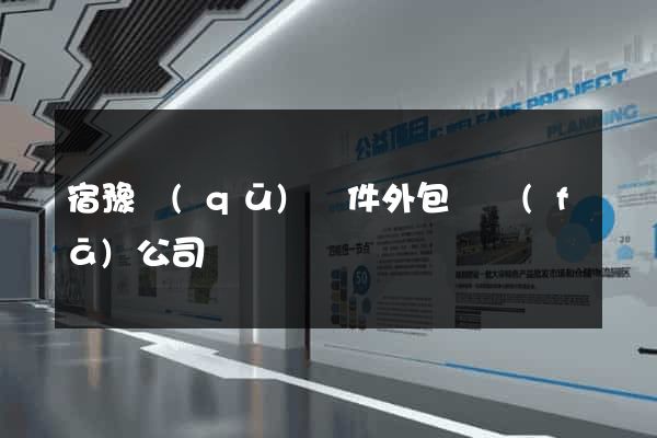 宿豫區(qū)軟件外包開發(fā)公司