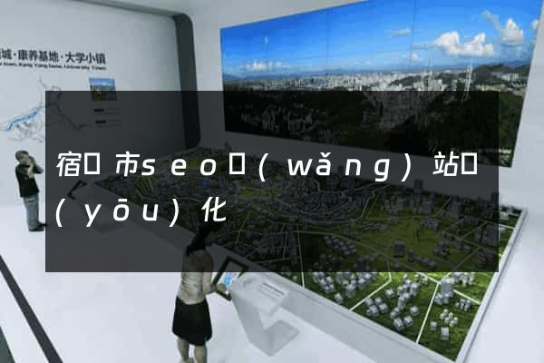 宿遷市seo網(wǎng)站優(yōu)化