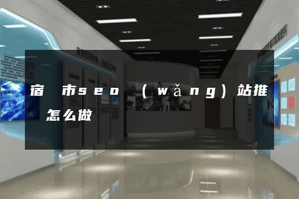 宿遷市seo網(wǎng)站推廣怎么做