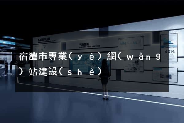 宿遷市專業(yè)網(wǎng)站建設(shè)